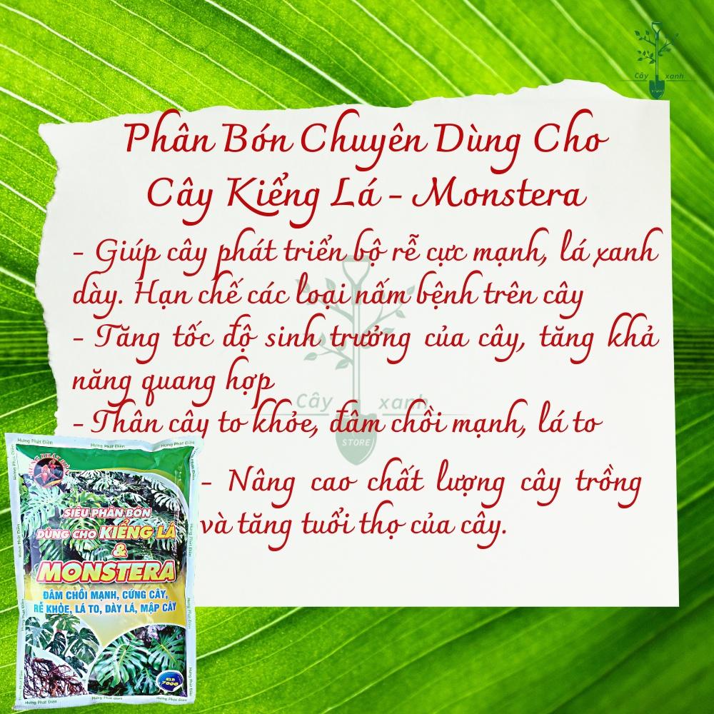 Phân Bón Hữu Cơ Kiểng Lá, Chuyên Dụng Cho Cây Trong Nhà, Monstera, Kiểng Lá. Gói 700gr Đâm Chồi Mạnh, Cứng Cây