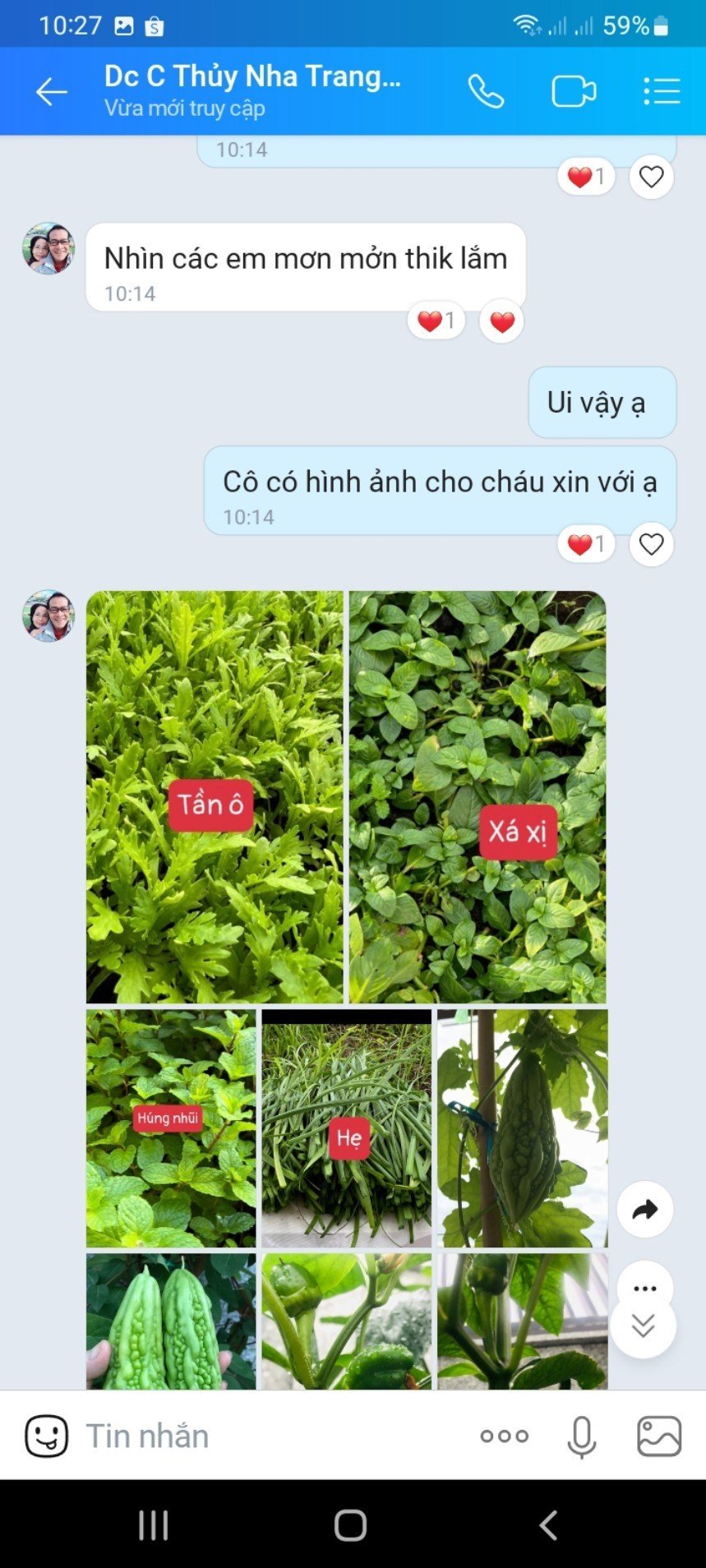 Siêu cải tạo đất với bộ 3 - Emzeo Đa chủng vi sinh vật + Đạm cá hữu cơ CTBIO +Axit Humic - giúp cải tạo cho diện tích 25m2