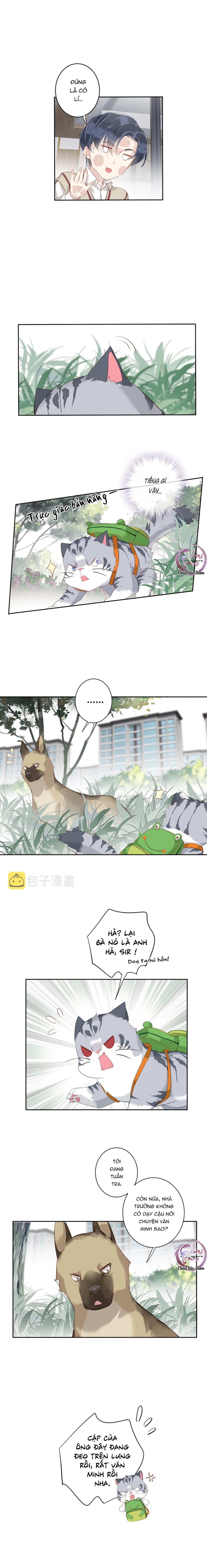 cuộc mai mối vượt giống loài chapter 49 6