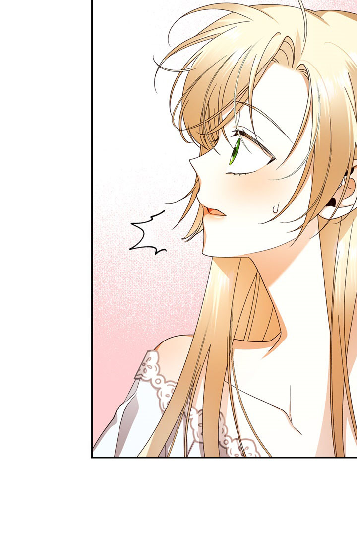 cách che giấu đứa con của hoàng đế chapter 20 60