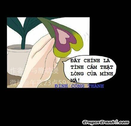 hạt giống tình yêu chapter 3 14