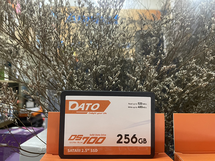 Ổ Cứng SSD DATO DS700 256GB sata3 2.5&quot; - Hàng Chính Hãng