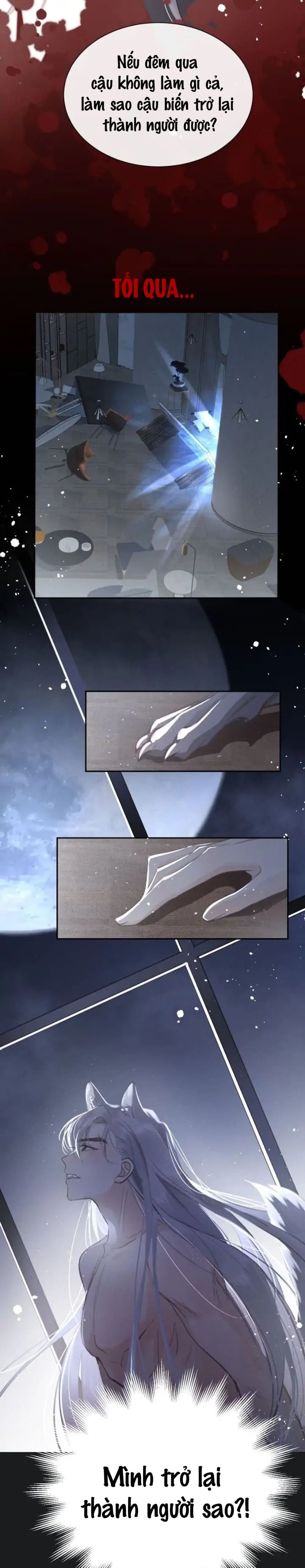 vết cắn của sói chapter 2 13