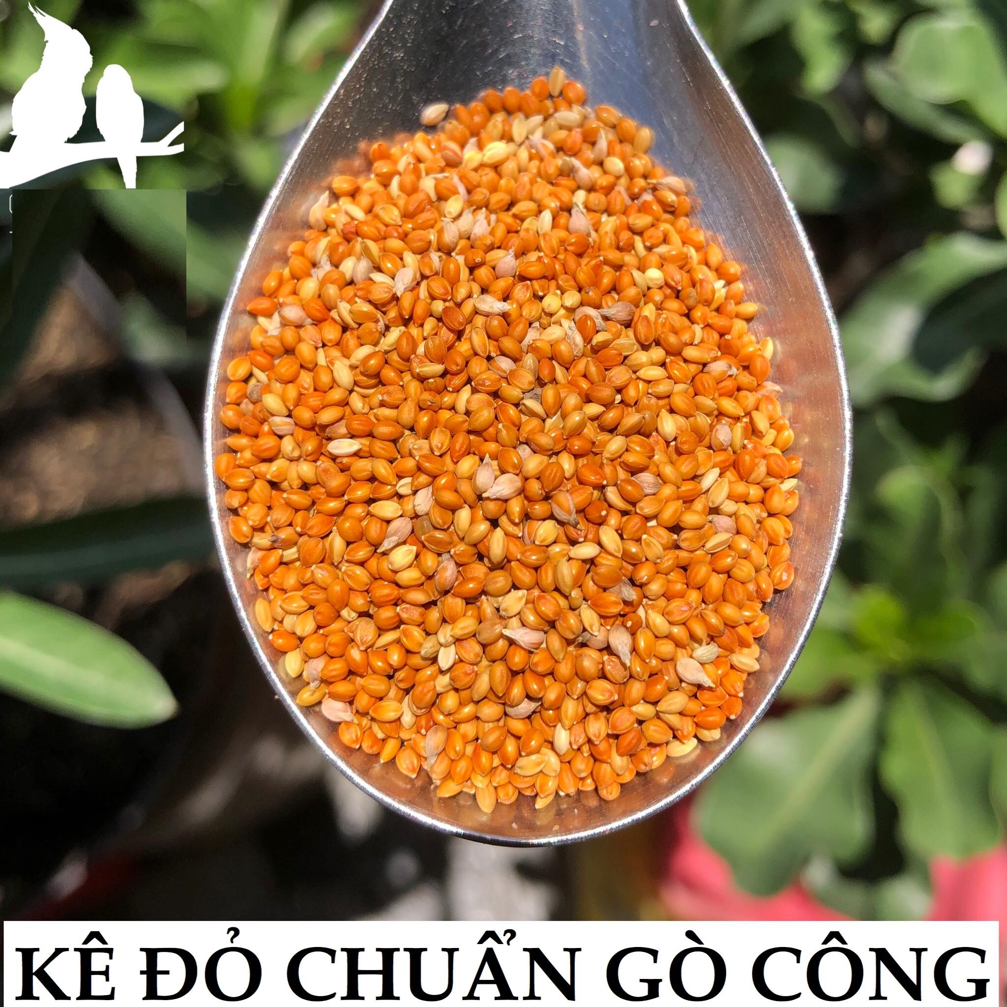 HẠT KÊ ĐỎ CHUẨN GÒ CÔNG túi 1000g