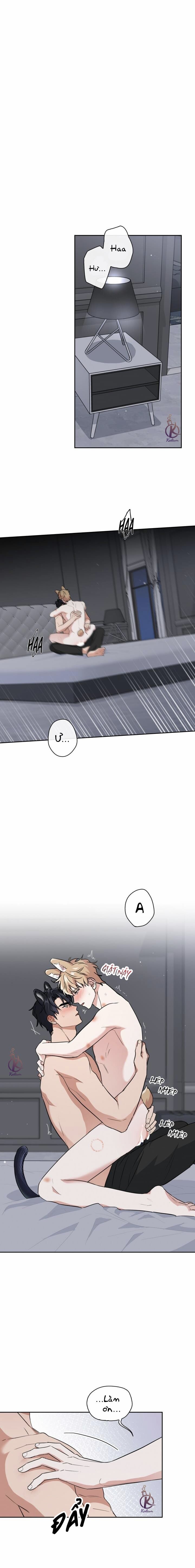 mồi nhử chapter 64 1