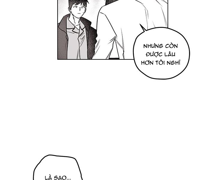 bữa tiệc của những đóa hoa chapter 22 147