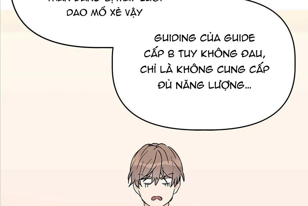 guide cấp b chapter 11 110