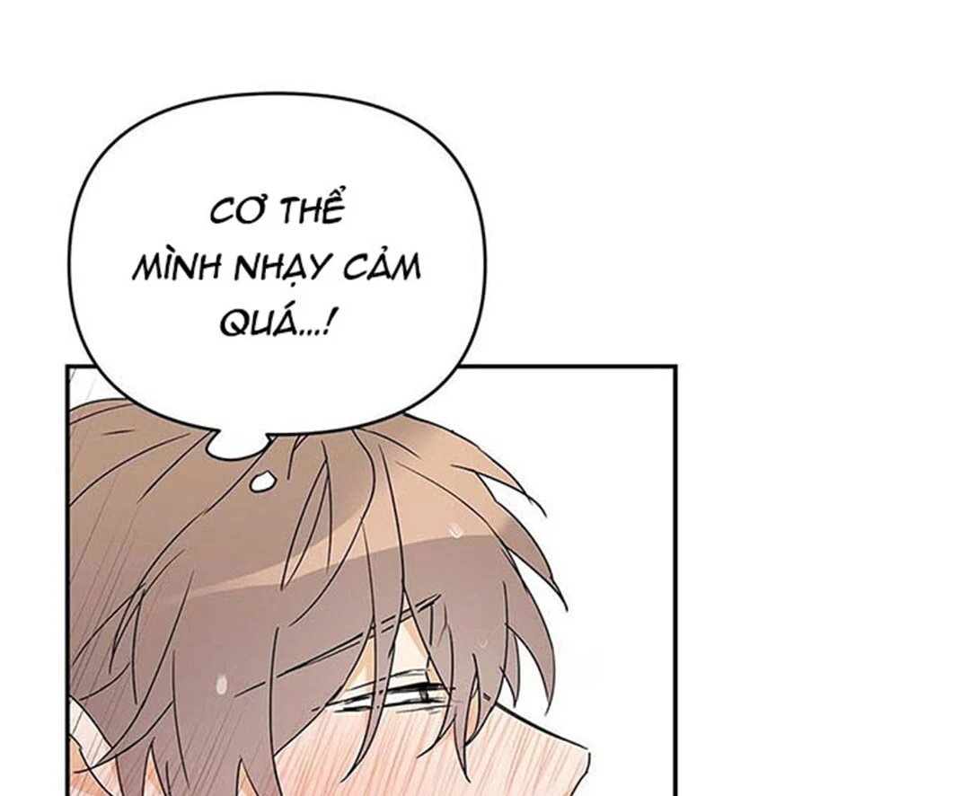 guide cấp b chapter 9 94