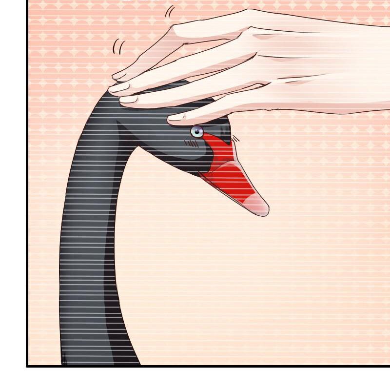 bay qua thiên sơn đến yêu anh chapter 7 34