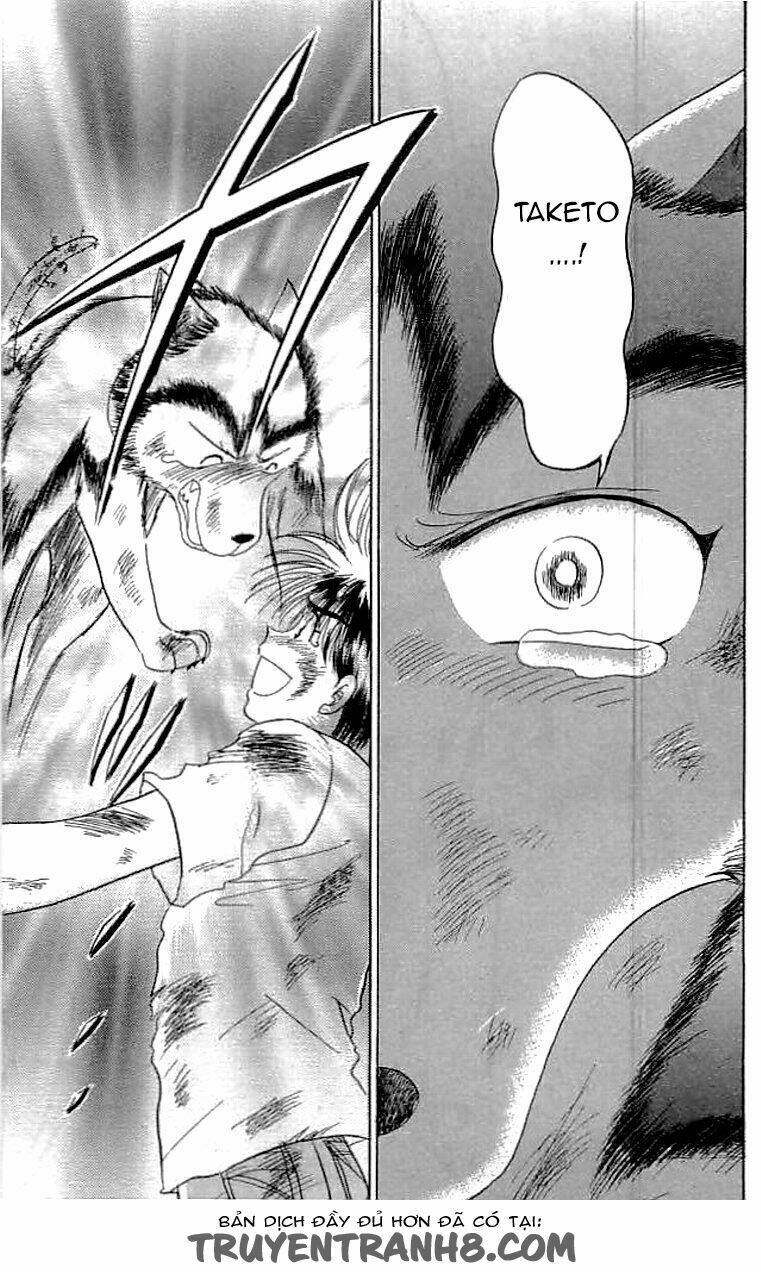 wild half chapter 24 12