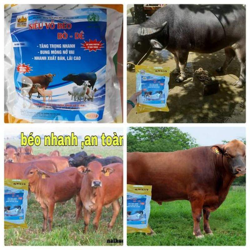 SIÊU VỖ BÉO BÒ DÊ 5kg