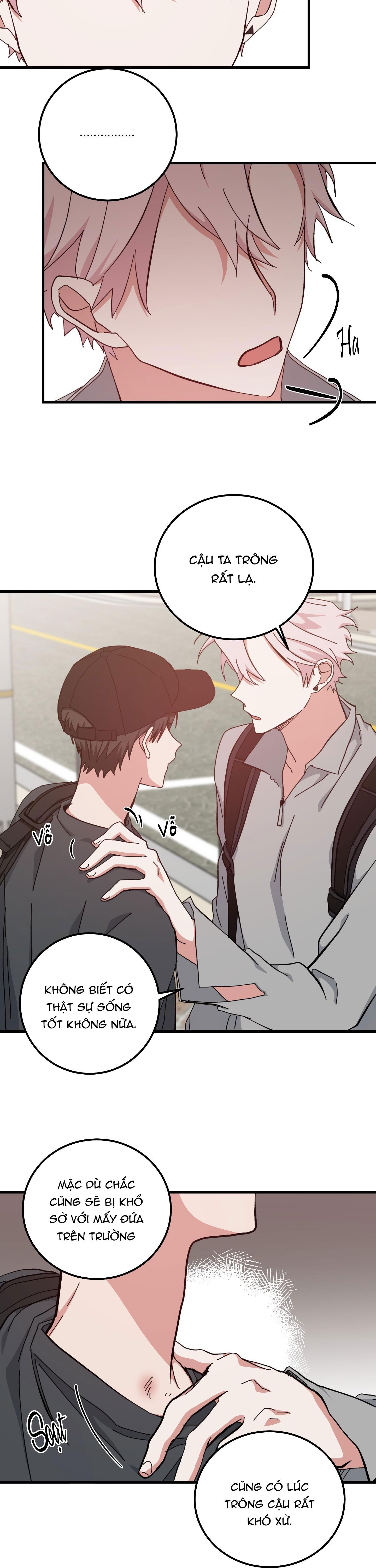 yêu tôi đi, thần hộ mệnh chapter 39 17