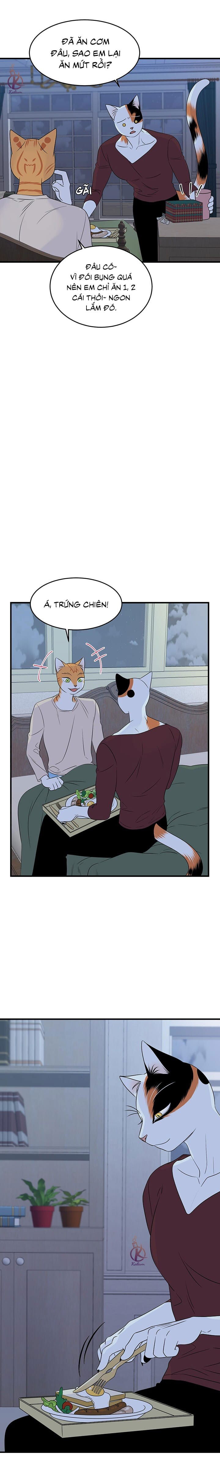 dự án xanh chapter 35 19