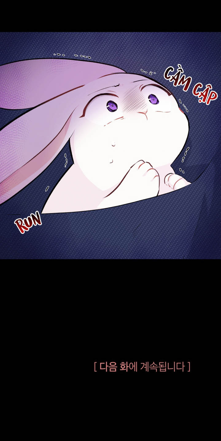 mối liên kết giữa báo đen và bé thỏ chapter 6 61