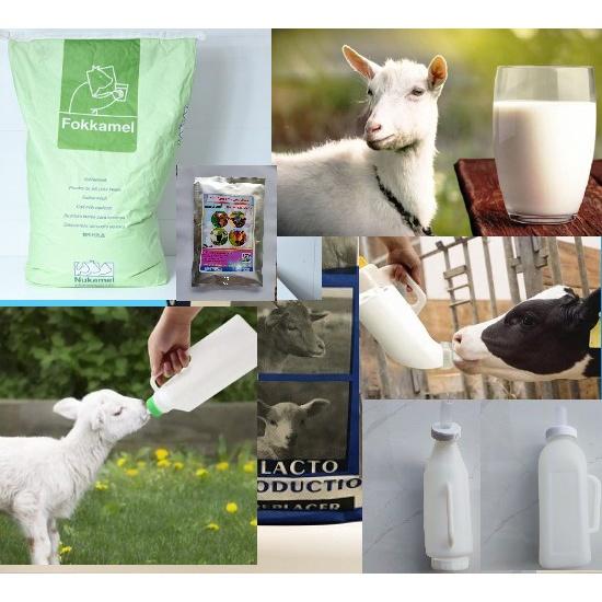 Bình Bú Sữa Cho Gia Súc, Sữa Non Cho Gia Súc