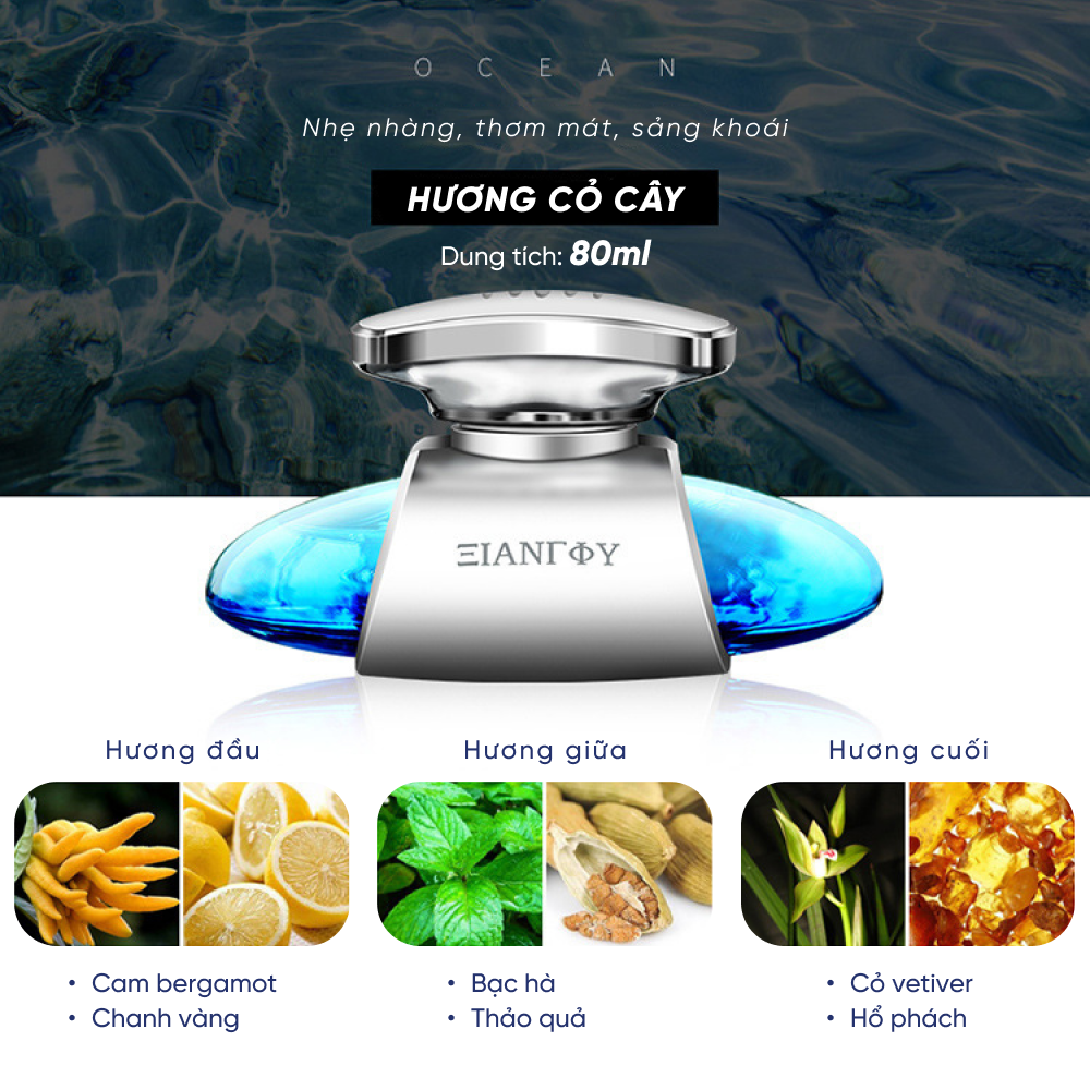 Nước hoa ô tô IIANTOIY thanh lọc không khí xe hơi hương thơm dễ chịu sang trọng