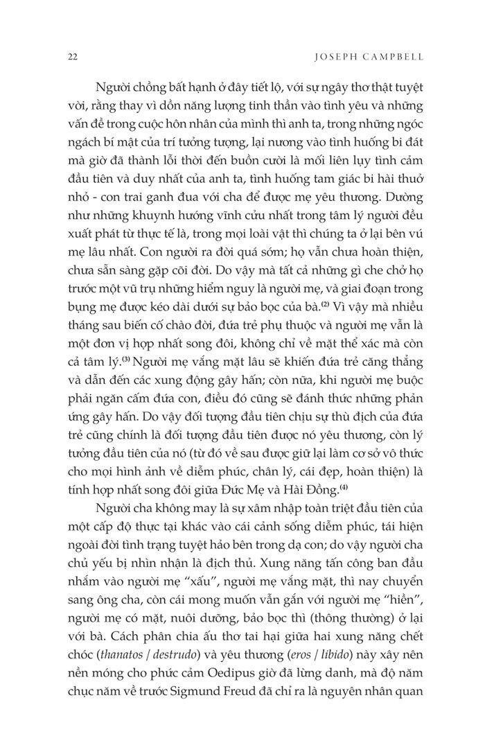 Người Hùng Mang Ngàn Gương Mặt