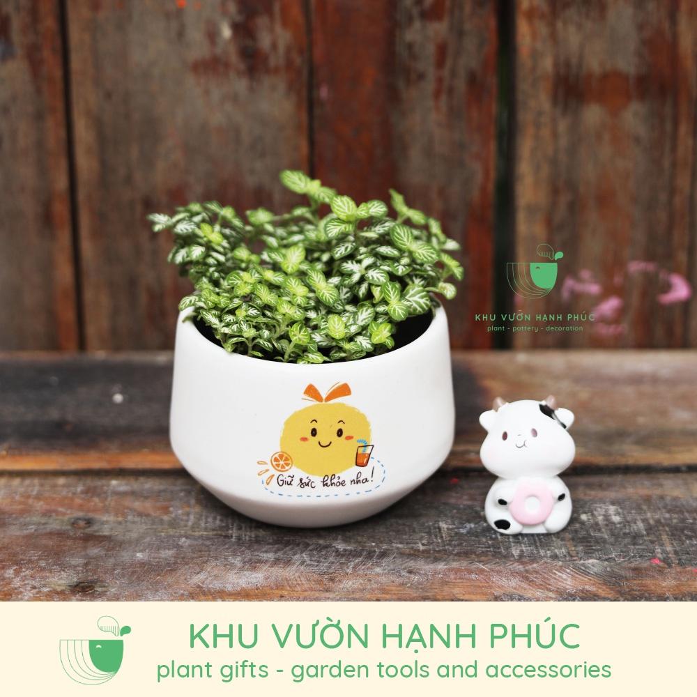 Chậu in hình - Những lời nhắn nhủ dễ thương - Size 7-8cm, quà tặng, trang trí, văn phòng,...