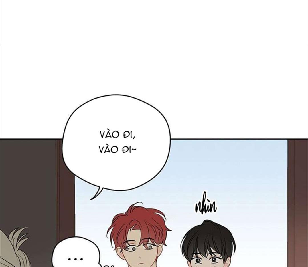 chuyện quái gì với giấc mơ đó vậy chapter 33 9