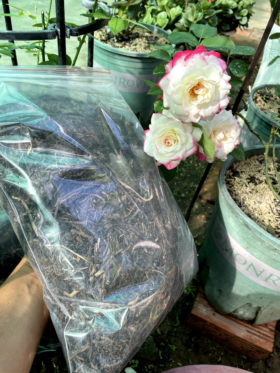 Phân rơm hoai mục - Gói 5dm3 phân rơm