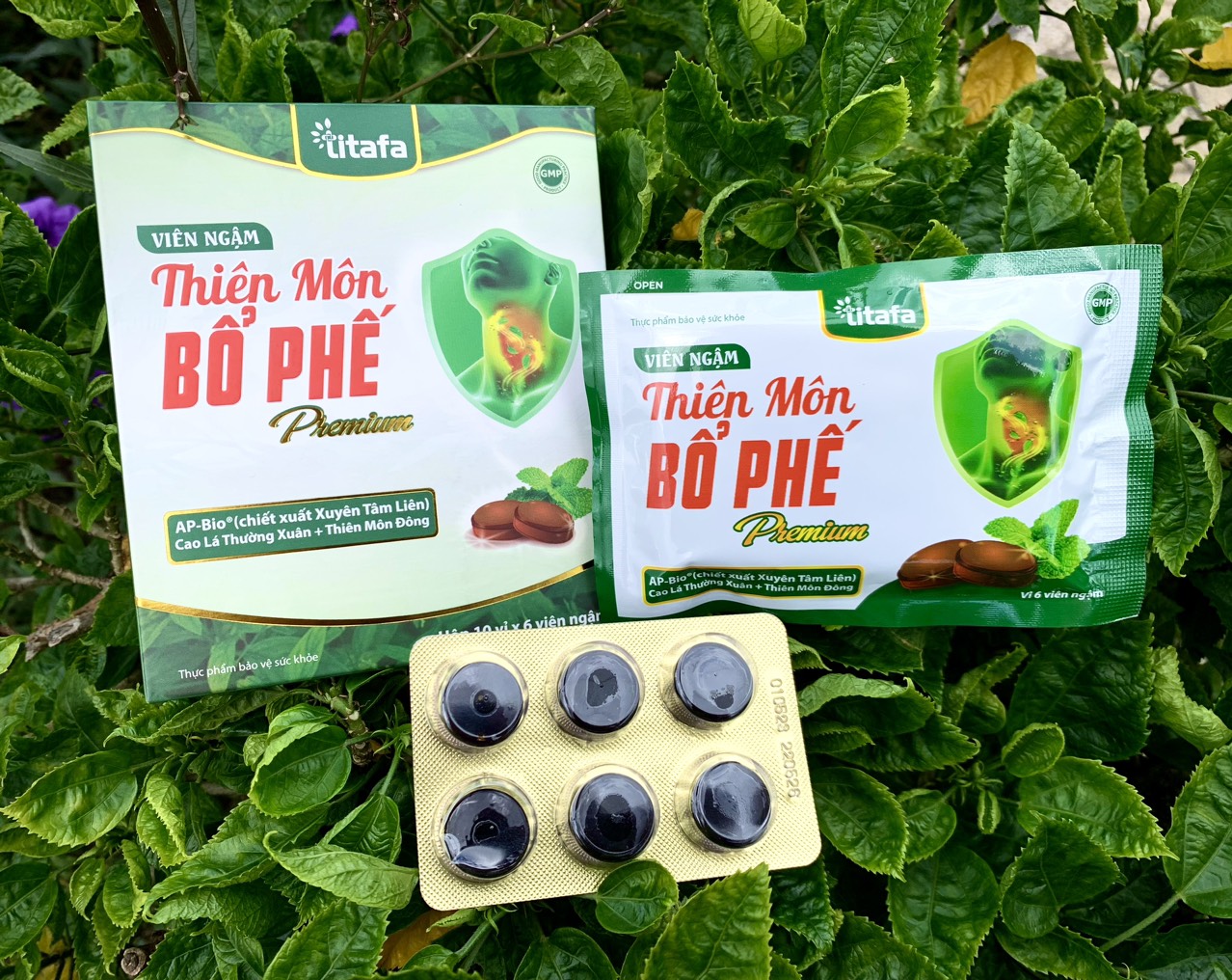 Viên ngậm Thiên Môn Bổ Phế Premium – Giúp giảm nhanh ngứa rát họng, đau họng, khản tiếng, giảm ho, bổ phế do viêm họng, viêm phế quản