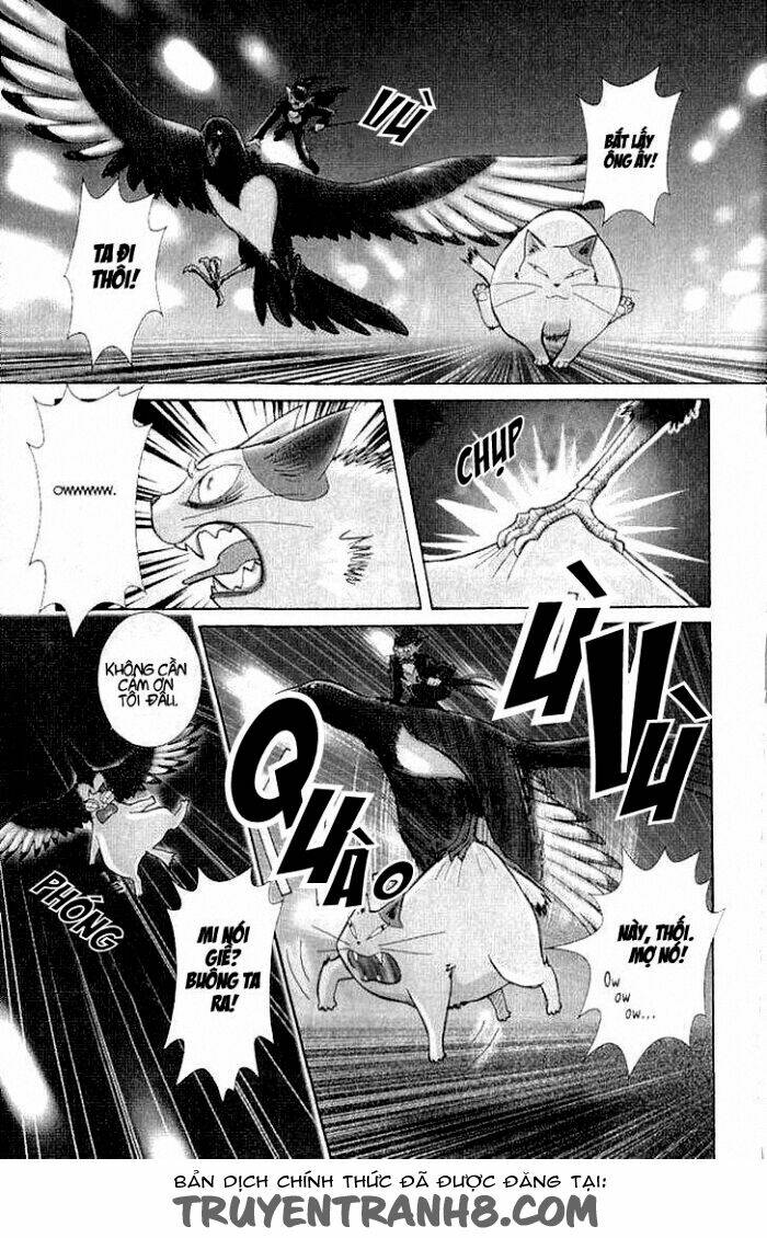 mimi wo sumaseba - lời thì thầm từ trái tim chapter 7 37