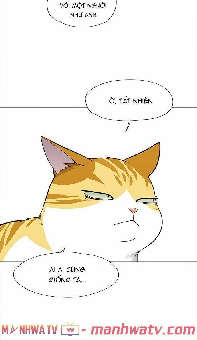 biến thân thành mèo chapter 22 19