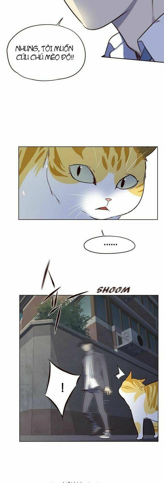 biến thân thành mèo chapter 5 47