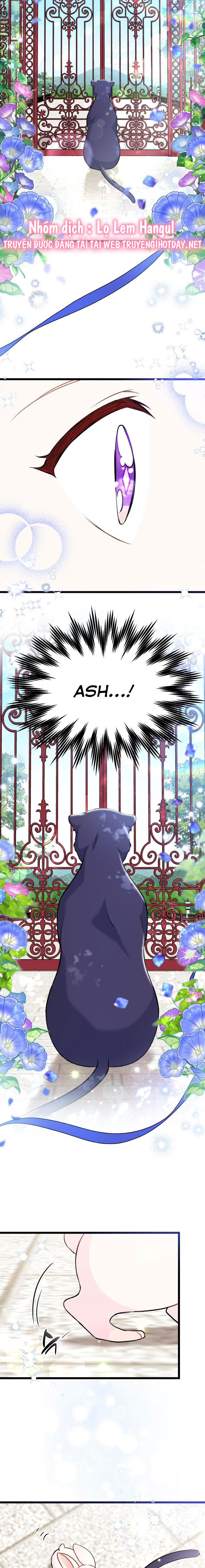 mối liên kết giữa báo đen và bé thỏ chapter 134 15
