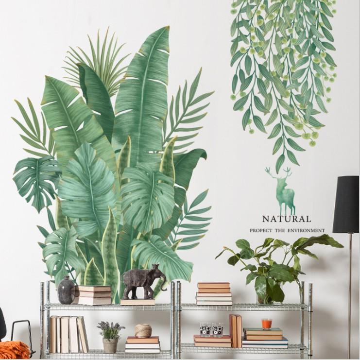 Decal trang trí tường - CÂY CHUỐI XANH DÂY LEO TƯƠI MÁT
