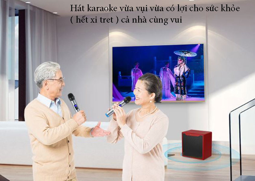 Bộ loa hát karaoke gồm 2 micro UHF dùng cho tivi smart và điện thoại Amoi L6P ( Hàng nhập khẩu ) có ổ cắm đa năng đi kèm