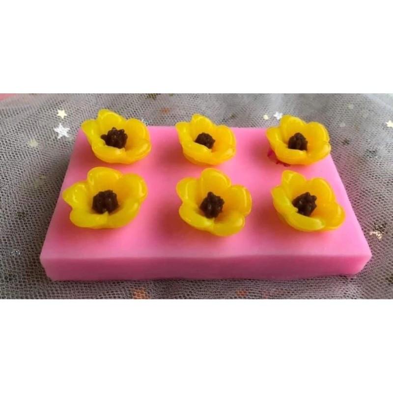 Khuôn hoa đoà vỉ 6 bông