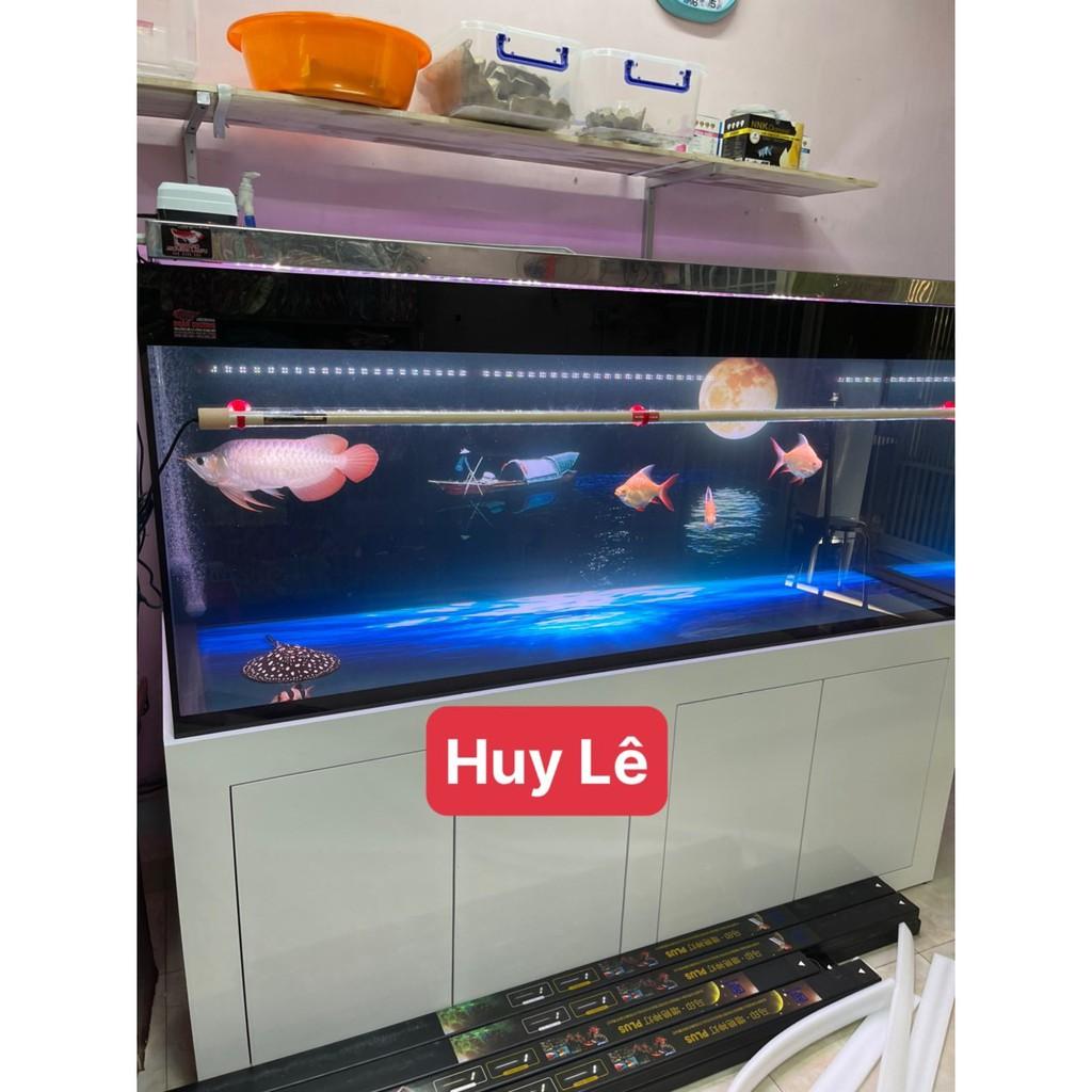 ĐÈN LED MAYIN 2 CHẾ ĐỘ CHUYÊN DỤNG CHO HUYẾT LONG