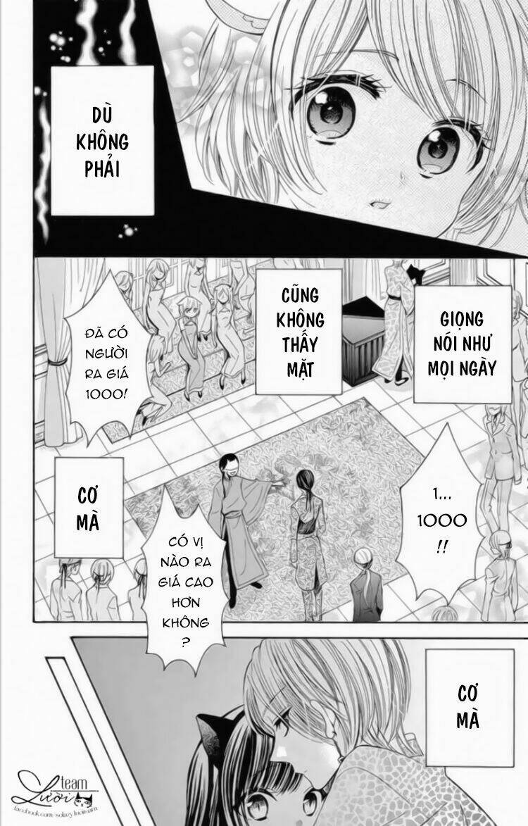 kuzu to kemomimi chapter 12 42