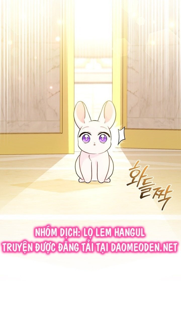 mối liên kết giữa báo đen và bé thỏ chapter 168 43