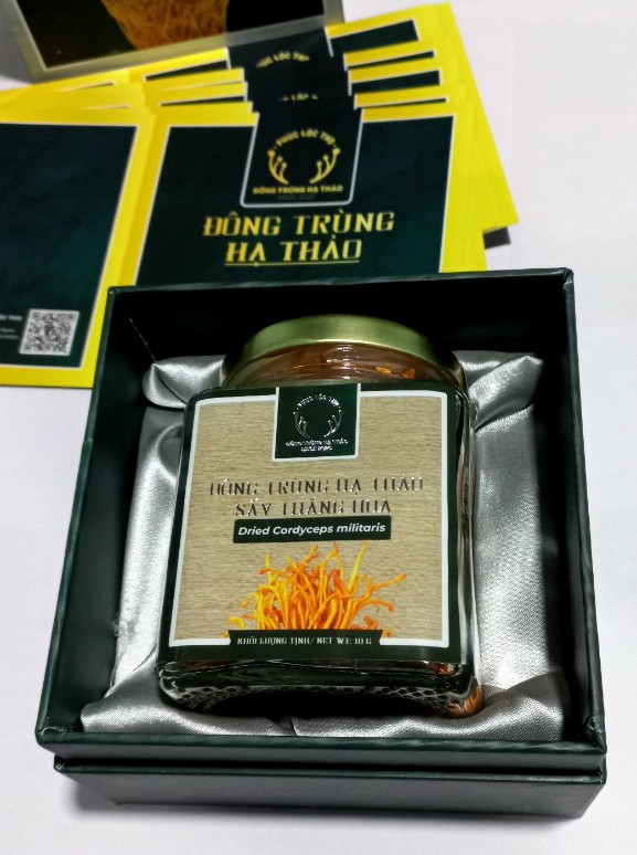 Đông trùng hạ thảo sấy thăng hoa