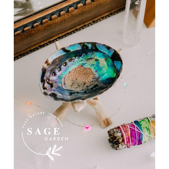 SET TIỆN ÍCH LỚN (Đĩa ốc Size L + Đế gỗ Size L)_SAGE GARDEN