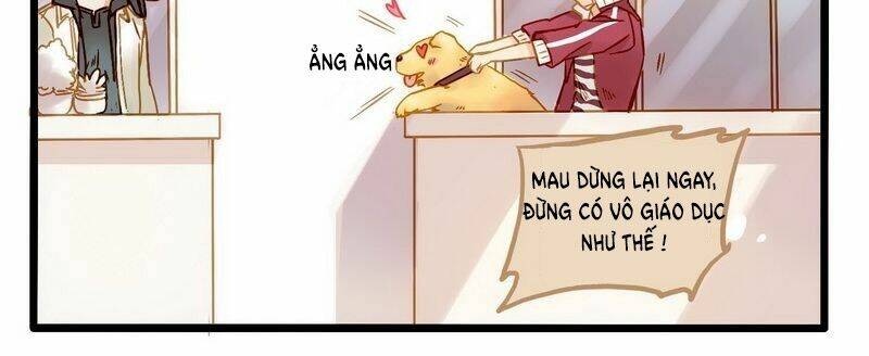 hằng mộng nam thần chapter 1 24