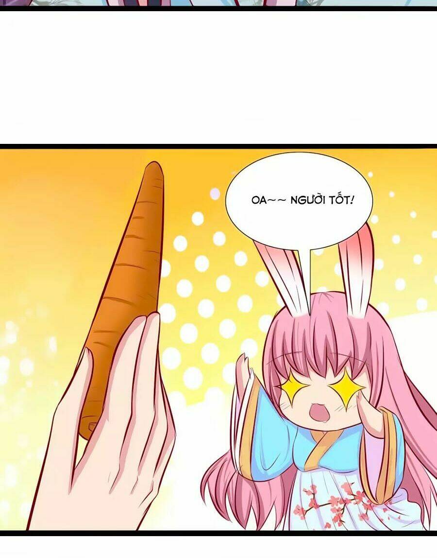 thỏ yêu tiểu vương phi chapter 71 21