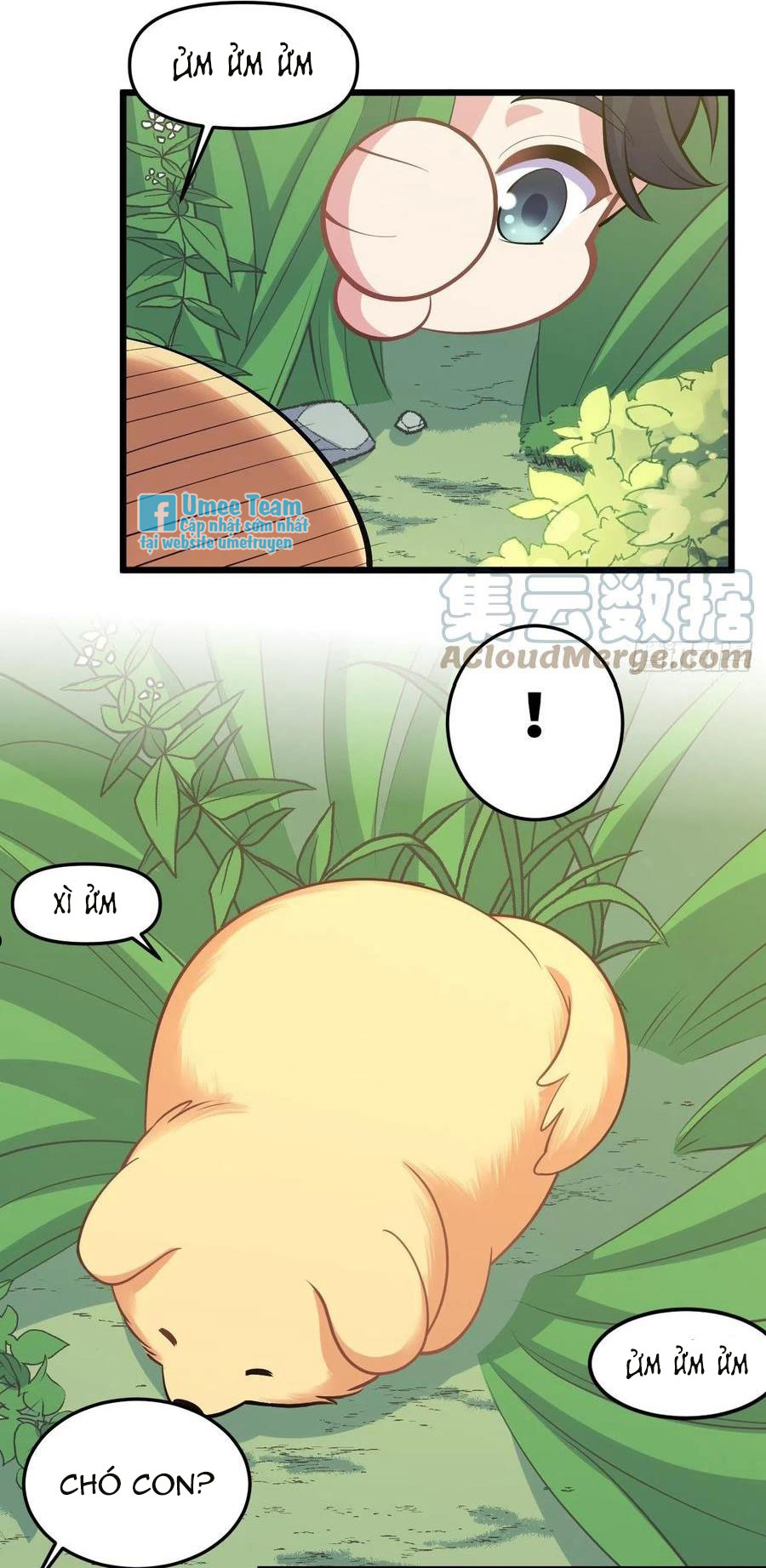 bố vợ đại nhân là bà xã chapter 207 5