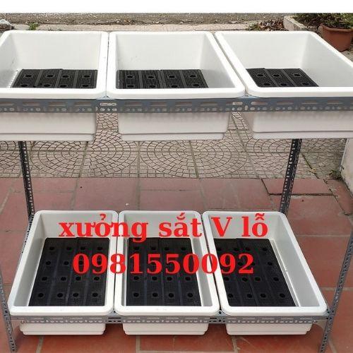 kệ v lỗ trồng rau ( sắt V4x4cm),'rộng 67cm x dài 1.3m" x ( chiều cao 1m,1.2m,1.5m ) nhiều tầng