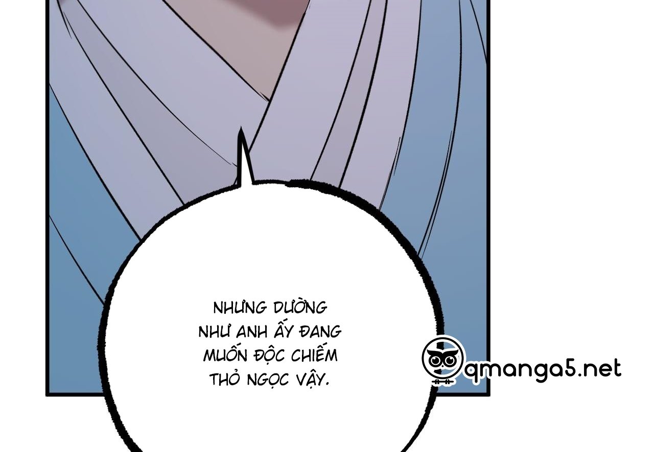 những chú thỏ của hapypy chapter 60 162