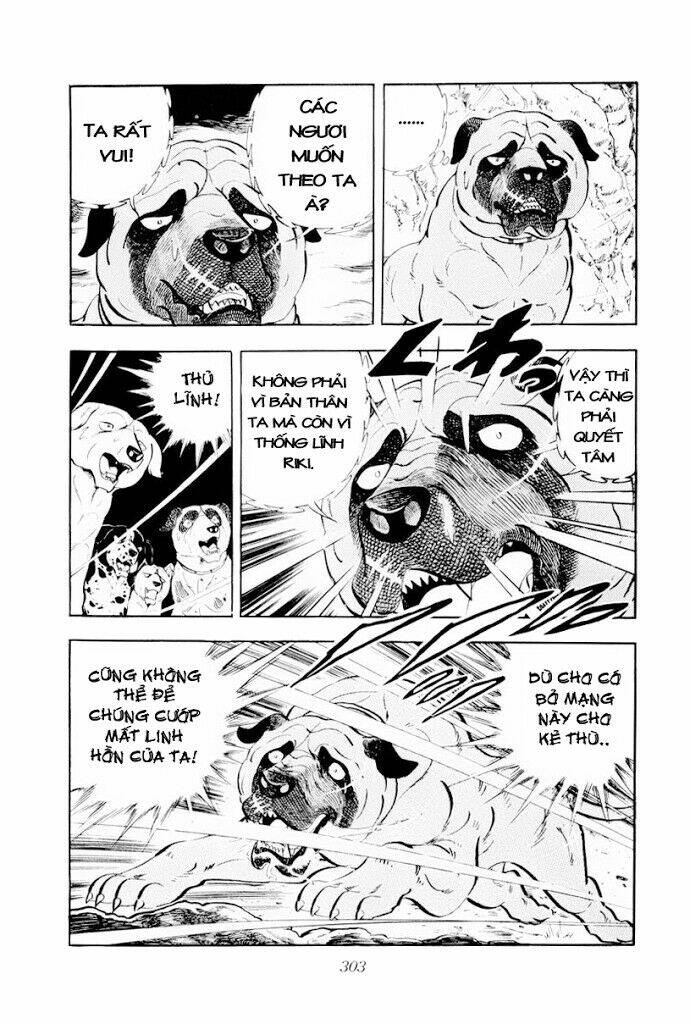 chú chó có nghĩa - ginga nagareboshi gin chapter 30.2 26