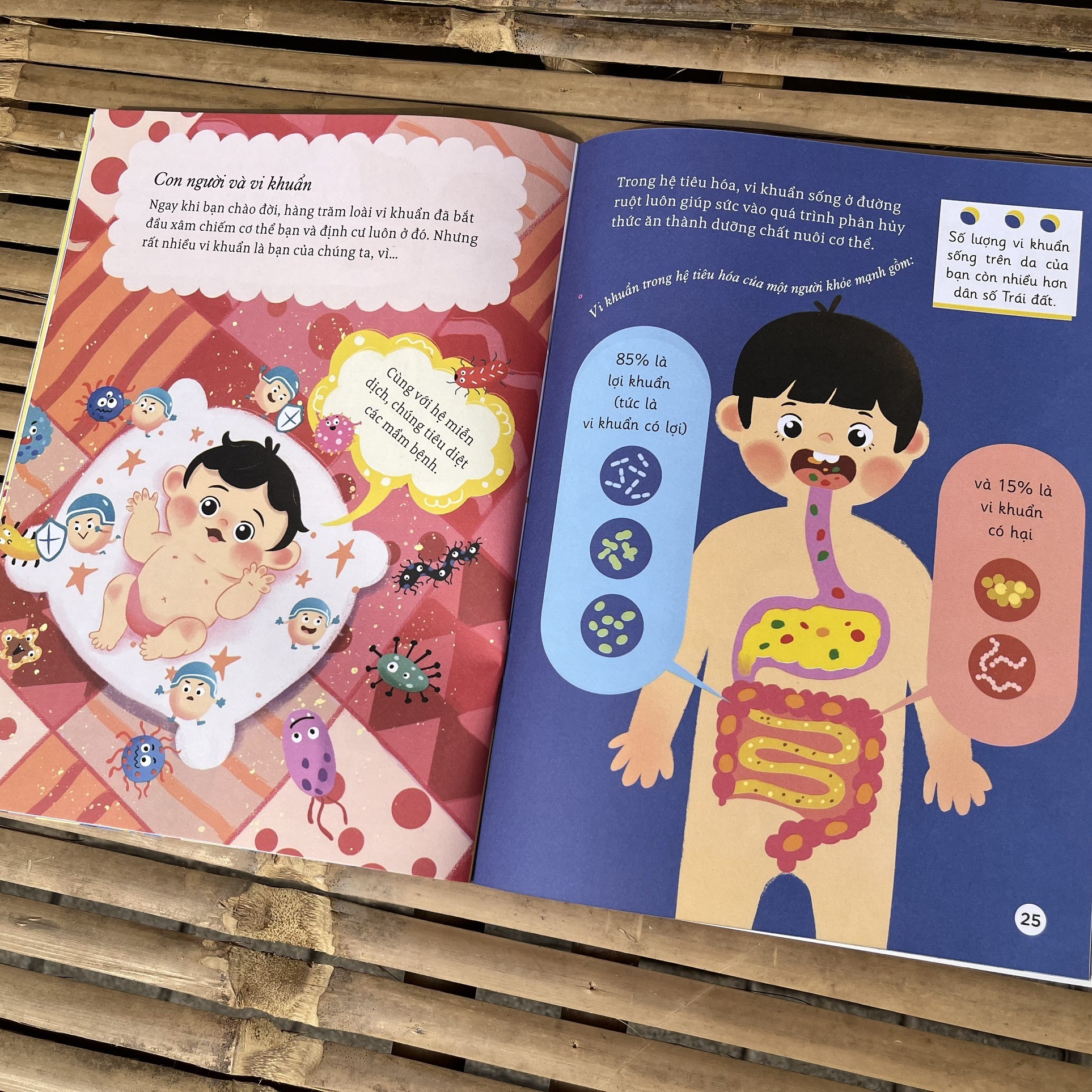 Hành trình khám phá. Vi khuẩn chưa phải là bé nhất