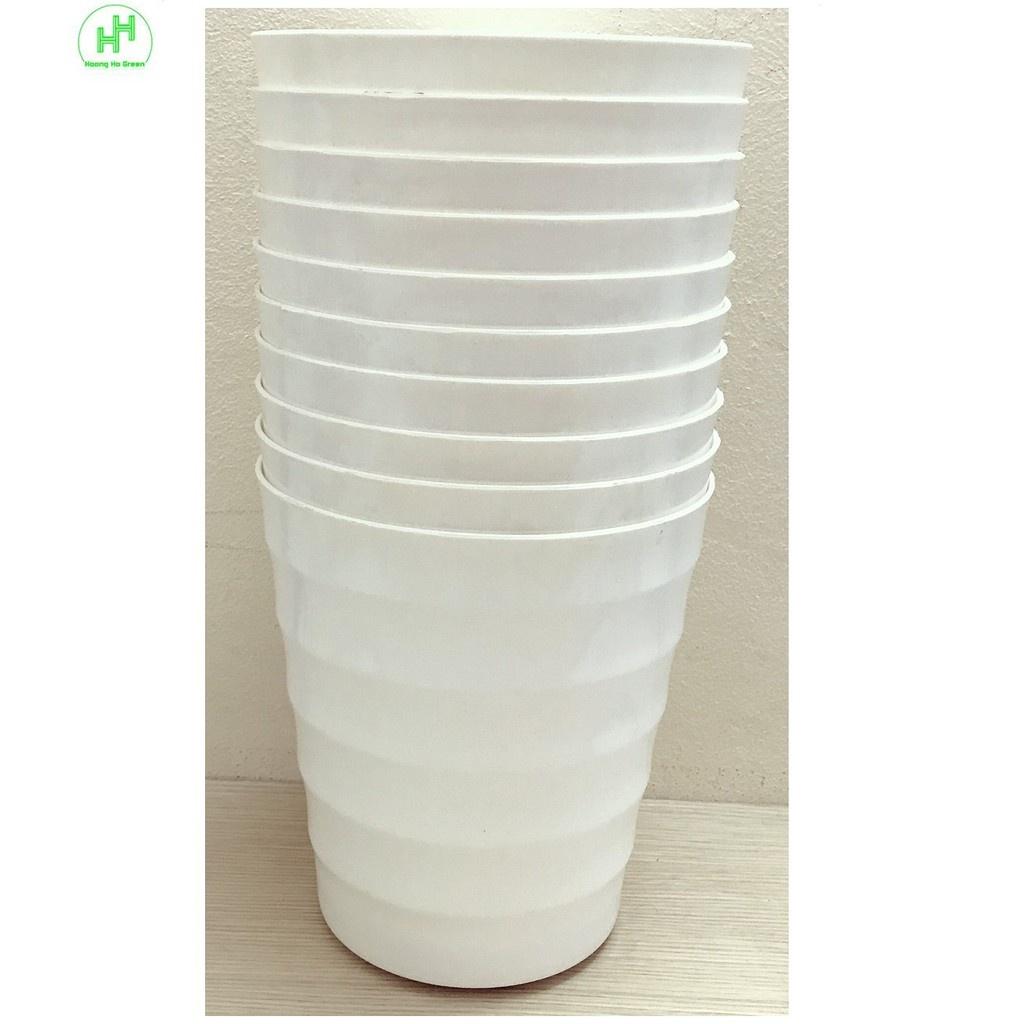 5 Chậu Nhựa Trồng Hoa Cây Cảnh Bình Thuận Plastic VT 205x145x225