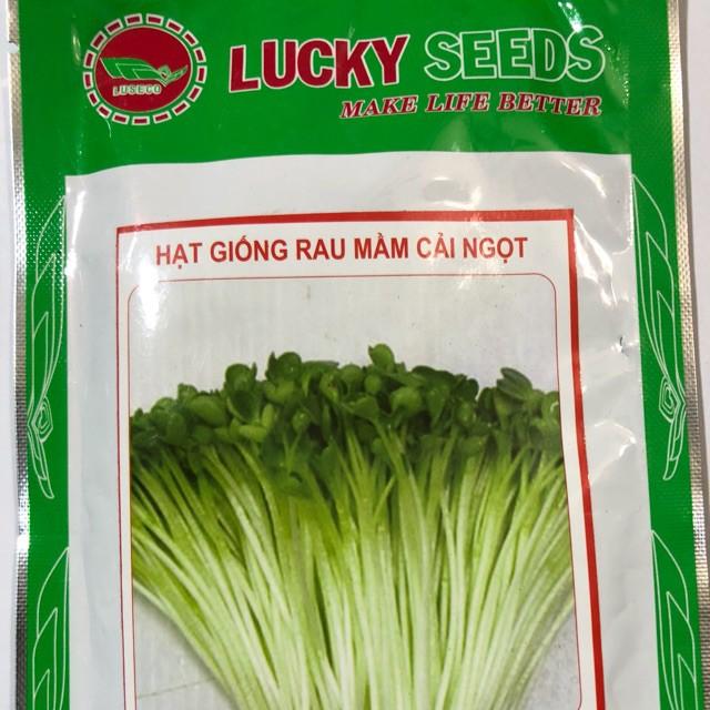 HẠT GIỐNG RAU MẦM CẢI NGỌT