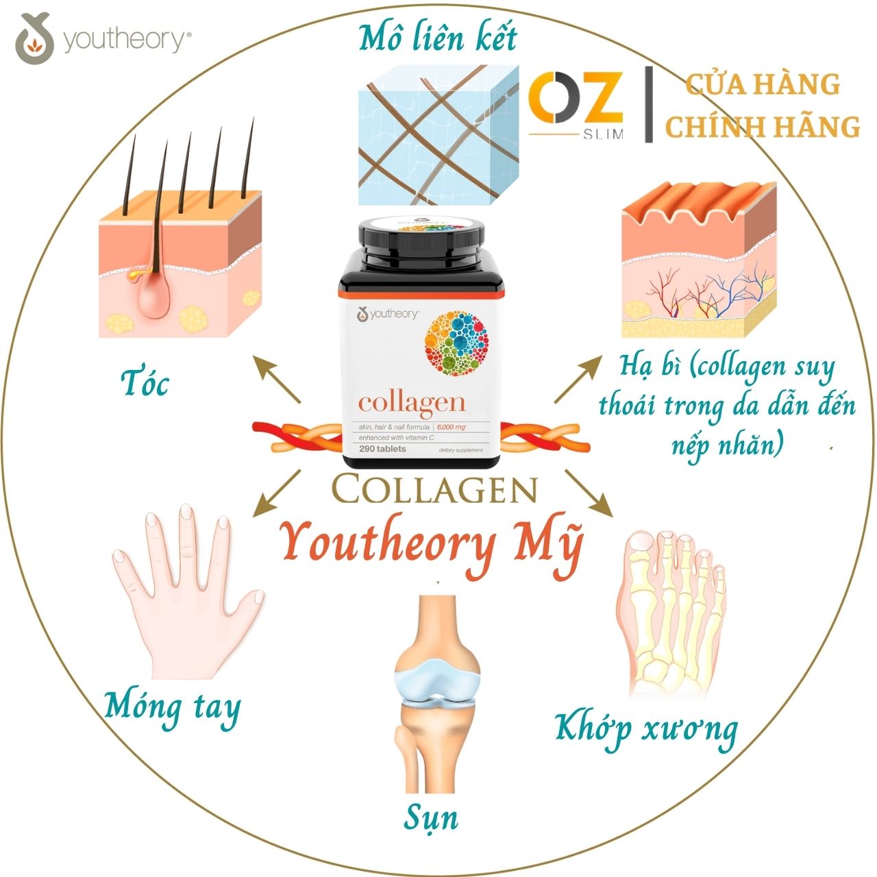 Collagen Youtheory Mỹ chứa collagen, vitamin c, biotin… tạo sức khỏe và sắc đẹp - QuaTangMe Extaste