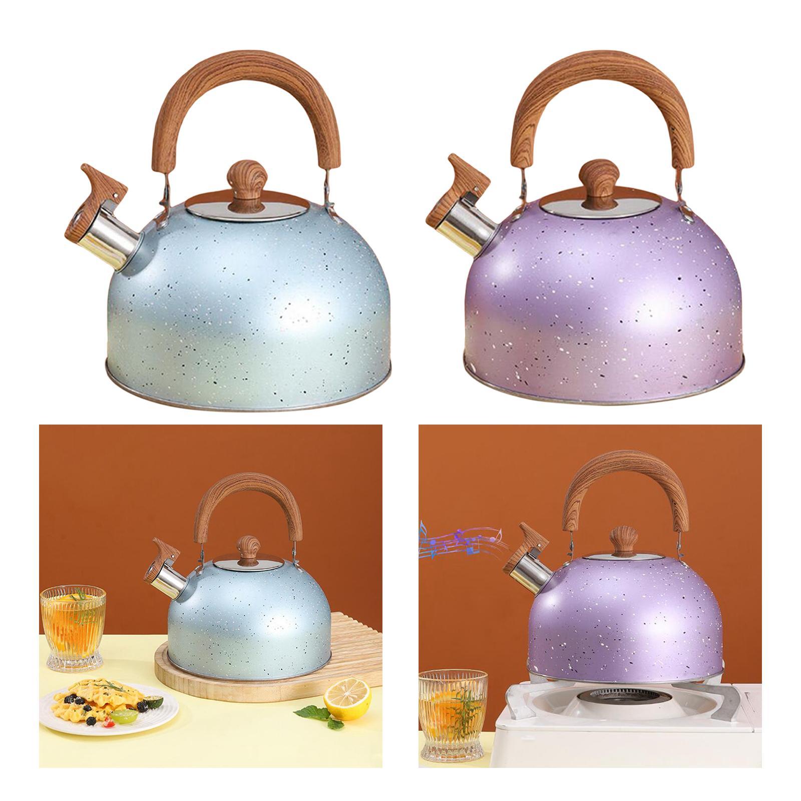 3L Whistle tea Kettle for Boiling water