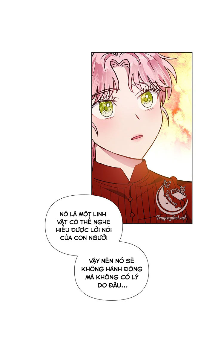 elizabeth chapter 42.1 17