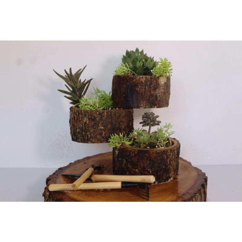 Chậu gỗ đa tầng trồng sen đá